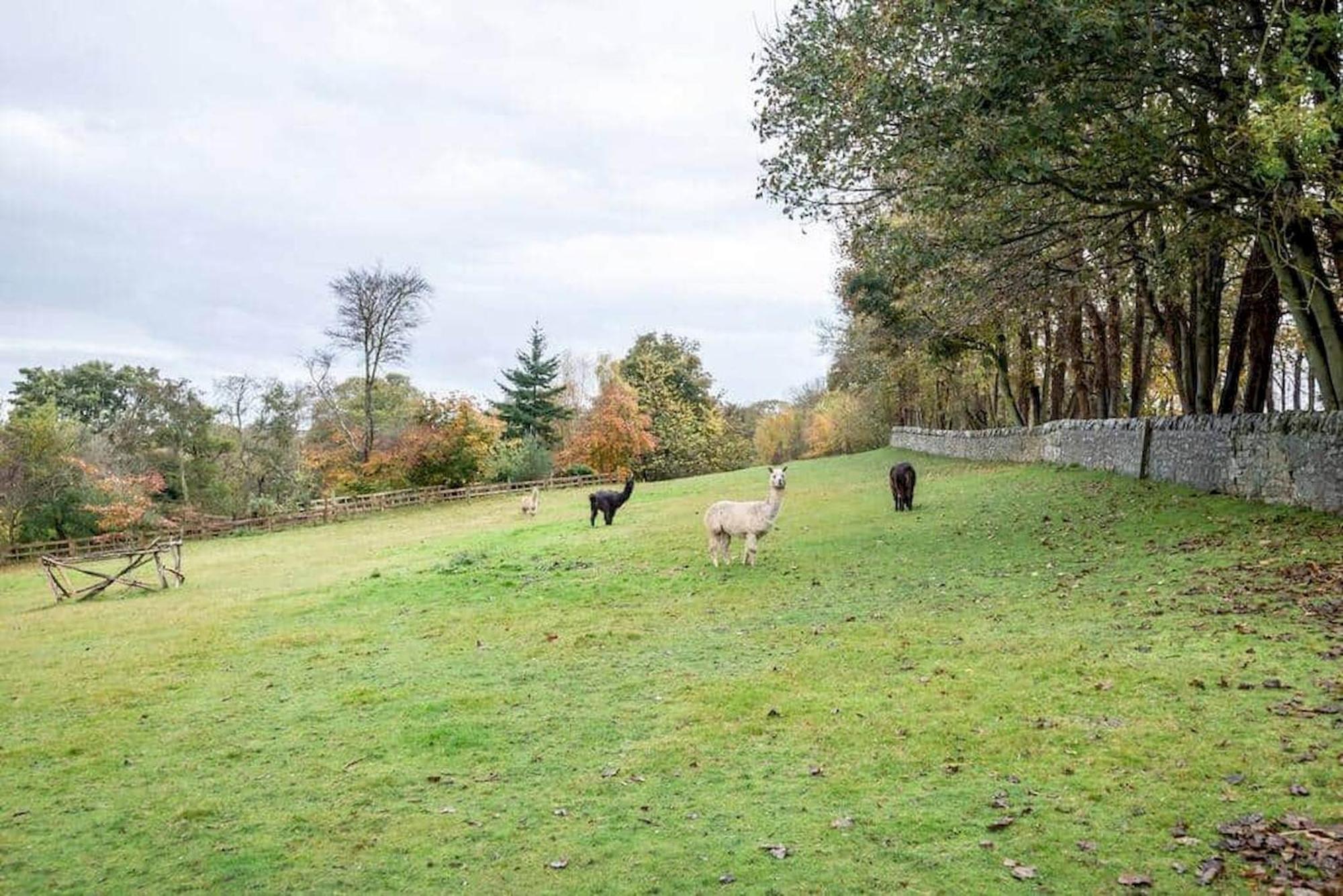 Park View Cottages - The Granary Boarhills 외부 사진